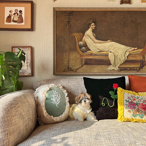 我住的地方，有猫有狗有风景