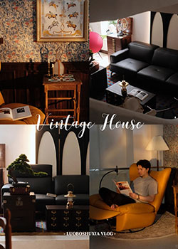 老婆劝我别再买了，家里已经美的像博物馆了